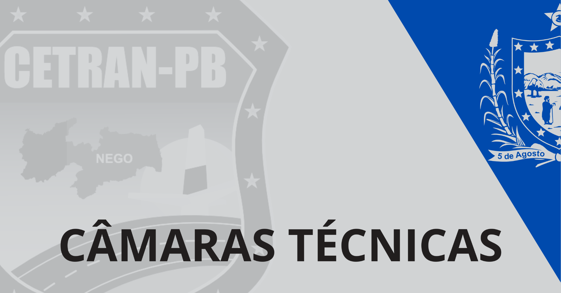 Câmaras Técnicas